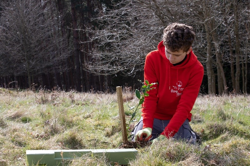 Young person gardening