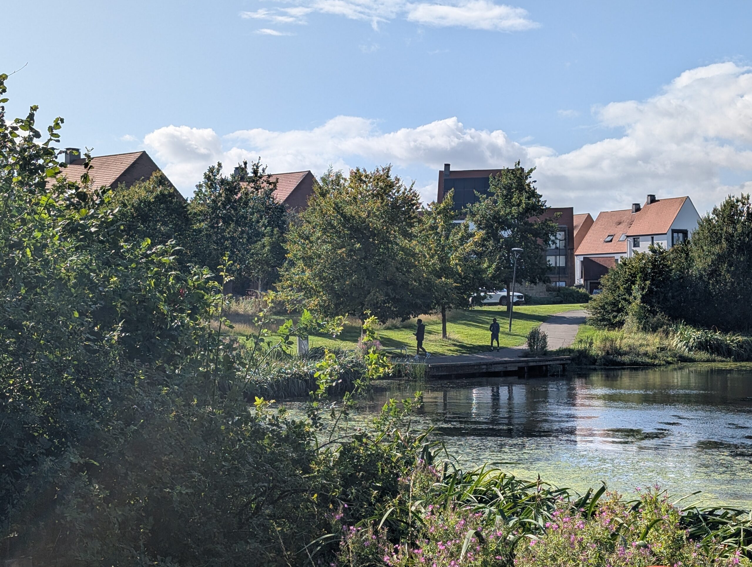 “It Creates a Real Sense of Place”: Policy Implementation Lessons for Managing Green Spaces for the Community